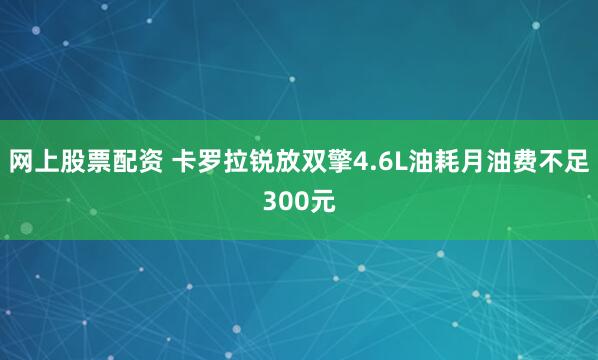 网上股票配资 卡罗拉锐放双擎4.6L油耗月油费不足300元